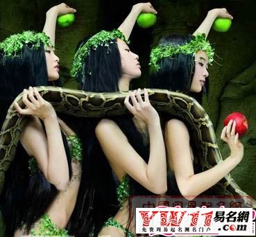 梦见很多蛇解梦