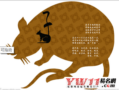 属鼠的人性格