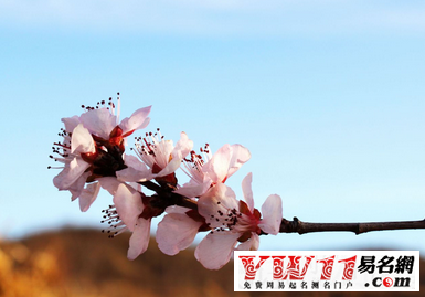 2017年清明节放假