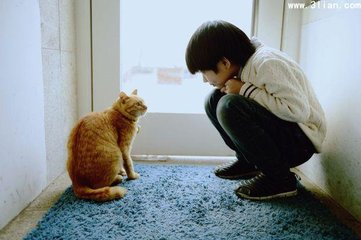 何春华