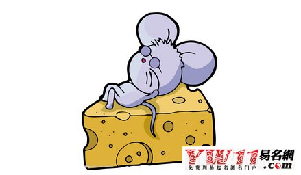 属鼠的人2020年运程,2020年属鼠人的运势