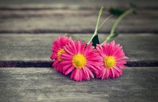 八个字的网名大全