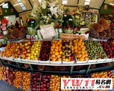 2016好听的水果店名字大全