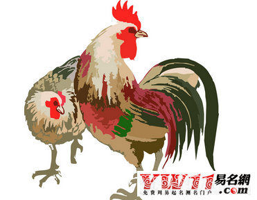 鸡年是哪年