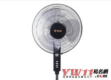 电风扇品牌起名,大牌的电风扇品牌大全