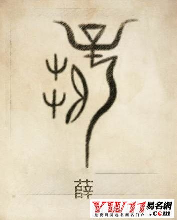 姓薛的名人,薛姓名人